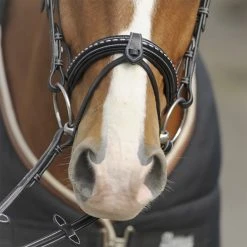French Equestrian English Bridles Penelope Point Sellier Bridle
