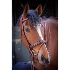 French Equestrian Penelope US Bridle 13 French Equestrian Penelope US Bridle