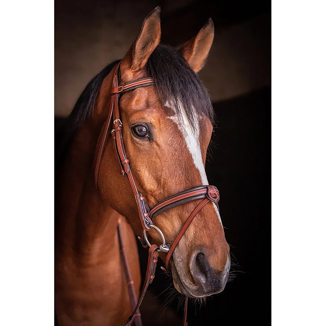 French Equestrian Penelope US Bridle 4 French Equestrian Penelope US Bridle