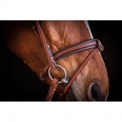 French Equestrian Penelope US Bridle 10 French Equestrian Penelope US Bridle