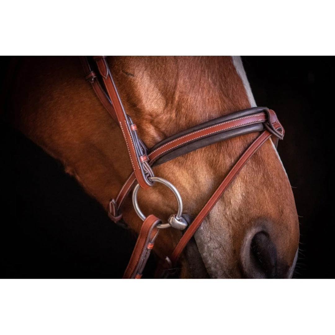 French Equestrian Penelope US Bridle 5 French Equestrian Penelope US Bridle