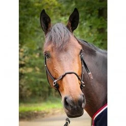 French Equestrian Penelope Ethological Halter Halters & Leads