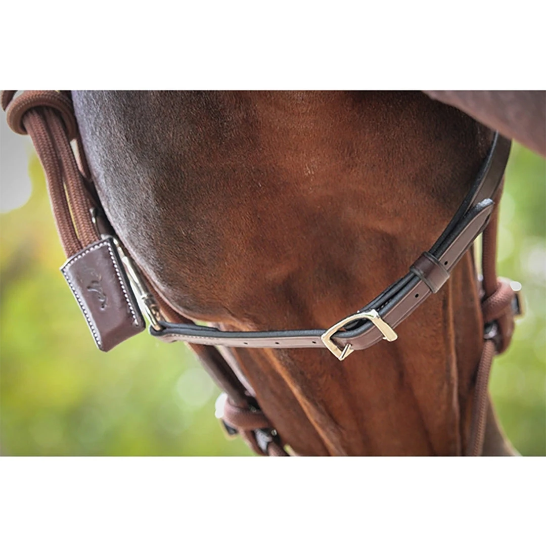 French Equestrian Penelope Ethological Halter Halters & Leads 7 French Equestrian Penelope Ethological Halter Halters & Leads