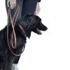 French Equestrian Penelope Leather Dog Leash 2 French Equestrian Penelope Leather Dog Leash