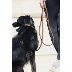 French Equestrian Penelope Leather Dog Leash