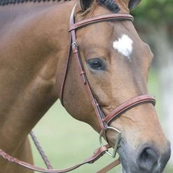 English Riding Supply Pessoa Fancy Wide Noseband Show Bridle W/ Fancy Stitched Laced Reins