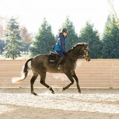 Breeches Kerrits Women's Power Stretch Knee Patch Pocket Tight 22 Breeches Kerrits Women's Power Stretch Knee Patch Pocket Tight