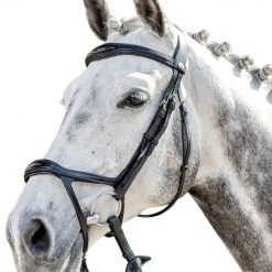 English Bridles Prestige 3E143 Bridle With Double Drop Noseband
