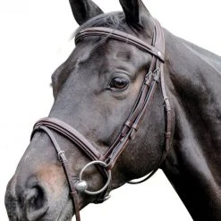 Prestige 3E083 Raised Bridle With Stitching English Bridles
