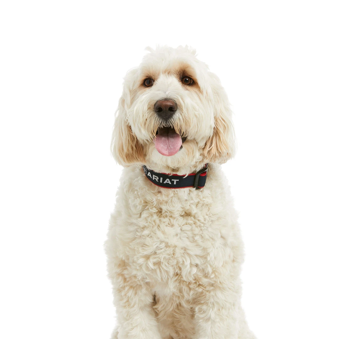 Ariat Dog Collar 4 Ariat Dog Collar