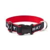 Ariat Dog Collar