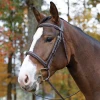 Shires Equestrian Products Avignon Ocala Bridle 1 Shires Equestrian Products Avignon Ocala Bridle