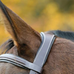 Shires Equestrian Products Avignon Ocala Bridle