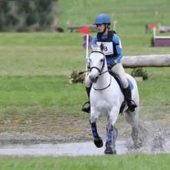 Shires Equestrian Products Horse Boots & Wraps Arma Neoprene Brushing Boots