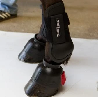ThinLine Open Front Tendon Schooling Horse Boot 5 ThinLine Open Front Tendon Schooling Horse Boot