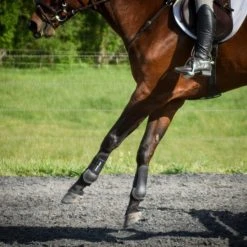 ThinLine Open Front Tendon Schooling Horse Boot 10 ThinLine Open Front Tendon Schooling Horse Boot