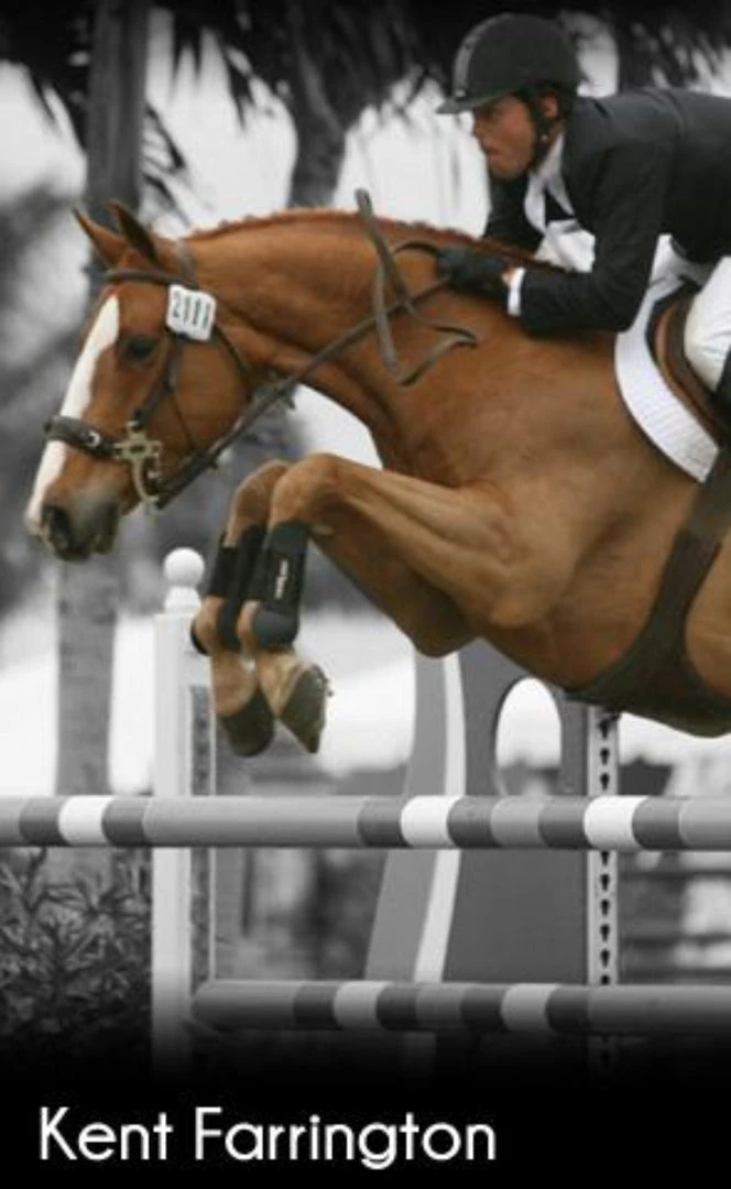 ThinLine Open Front Tendon Schooling Horse Boot 7 ThinLine Open Front Tendon Schooling Horse Boot