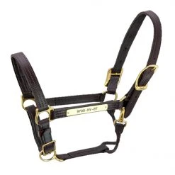 Halters & Leads Walsh Kentucky Halter