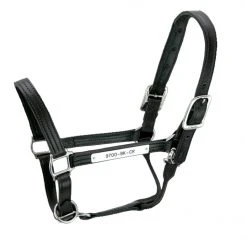 Halters & Leads Walsh Kentucky Halter