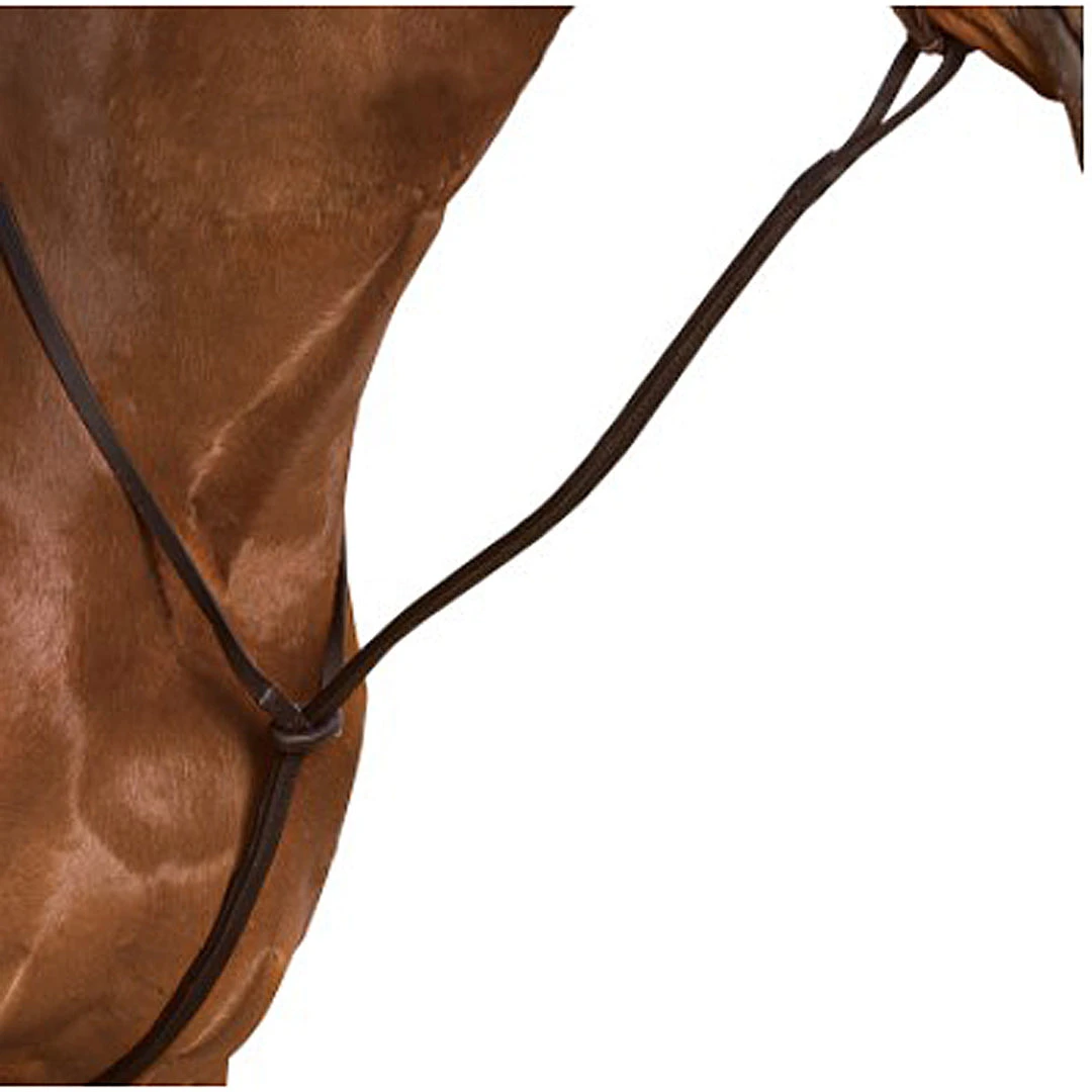 Saddlery Brands International Wintec Standing Martingale 4 Saddlery Brands International Wintec Standing Martingale
