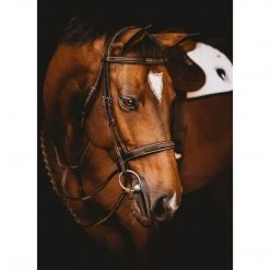 Samshield Arion Hunter Bridle With Fancy Stitching English Bridles