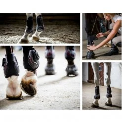 Frantisi Horse Boots & Wraps Acavallo Opera Front Boot -Gel Lined With Elasticated Stud Fastening 30 Frantisi Horse Boots & Wraps Acavallo Opera Front Boot -Gel Lined With Elasticated Stud Fastening