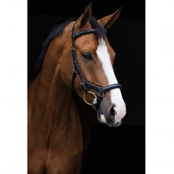 Horseware English Bridles Rambo Micklem Deluxe Competition Bridle 11 Horseware English Bridles Rambo Micklem Deluxe Competition Bridle