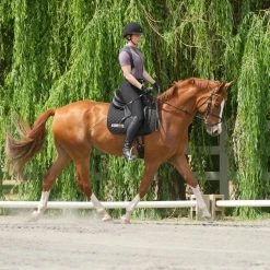 Kerrits Women's Crossover II Full Seat Breech