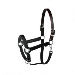 Union Hill Millstone Neoprene Breakaway Halter Halters & Leads
