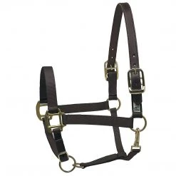 Perri's Leather Perri's Premium Nylon Safety Halter Halters & Leads