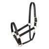 Perri's Leather Turnout Halter Halters & Leads