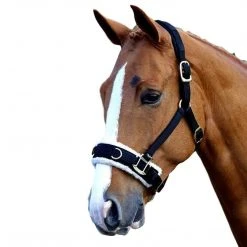 Shires Equestrian Products Fleece Lined Lunge Cavesson