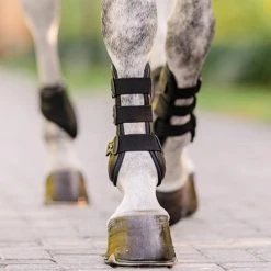 Horse Boots & Wraps EquiFit Eq-Teq Front Boot