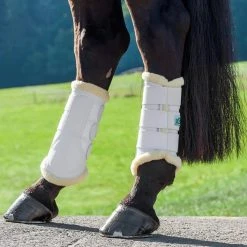 KL Select USG Dressage Boots Horse Boots & Wraps