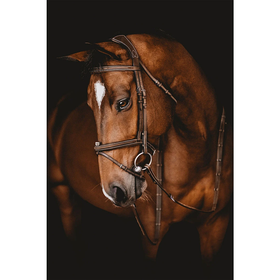 Samshield Arion Anatomic French Noseband Bridle 4 Samshield Arion Anatomic French Noseband Bridle