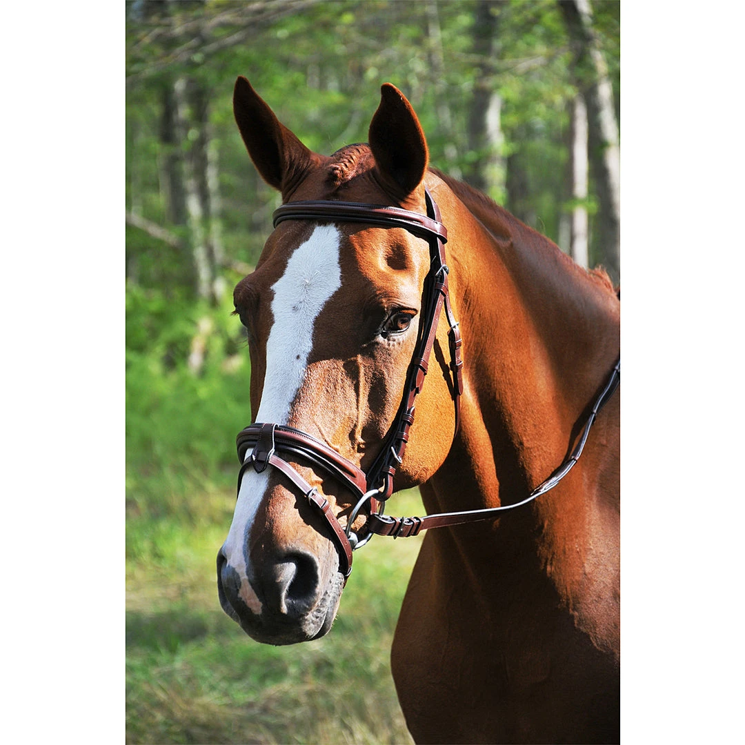 KL Select Italia Burghley Eventing Bridle 3 KL Select Italia Burghley Eventing Bridle