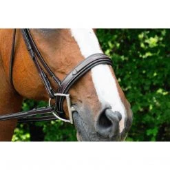 Red Barn By KL Select Tryon Hunter Bridle English Bridles