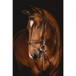 Samshield Arion French Noseband Training Bridle English Bridles