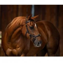 English Bridles Horseware Rambo Micklem Multibridle