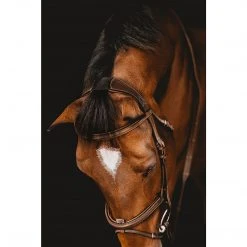 Samshield Arion Anatomic French Noseband Bridle 10 Samshield Arion Anatomic French Noseband Bridle