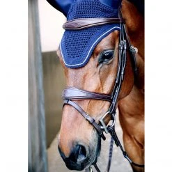Sagmae Dyon Anatomic Flash Noseband Bridle - D Collection