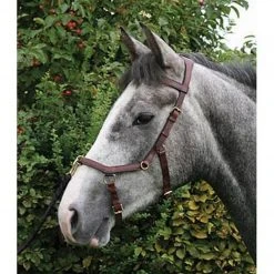 English Bridles Horseware Rambo Micklem Multibridle