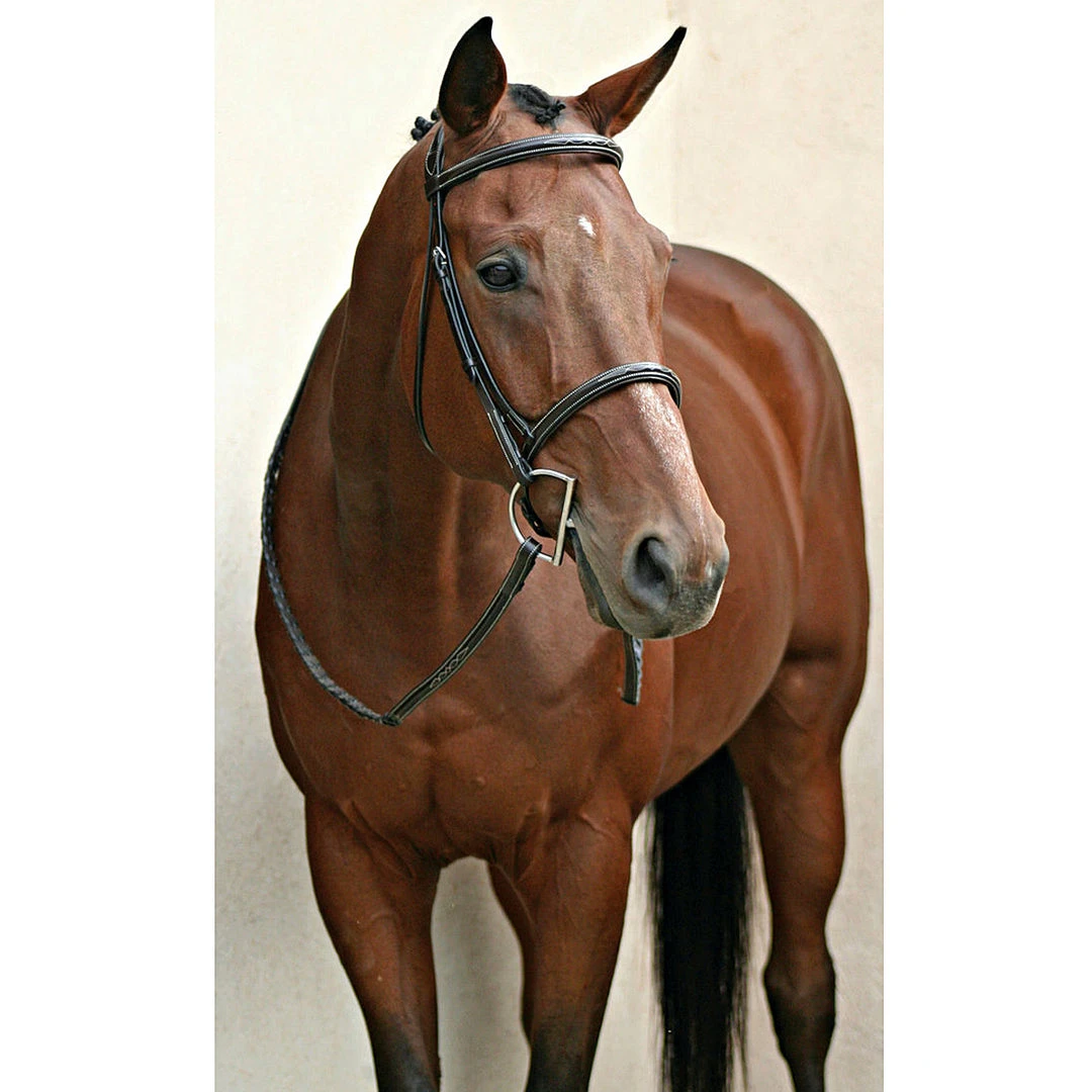 Nunn Finer Elena Hunter Bridle 9 Nunn Finer Elena Hunter Bridle