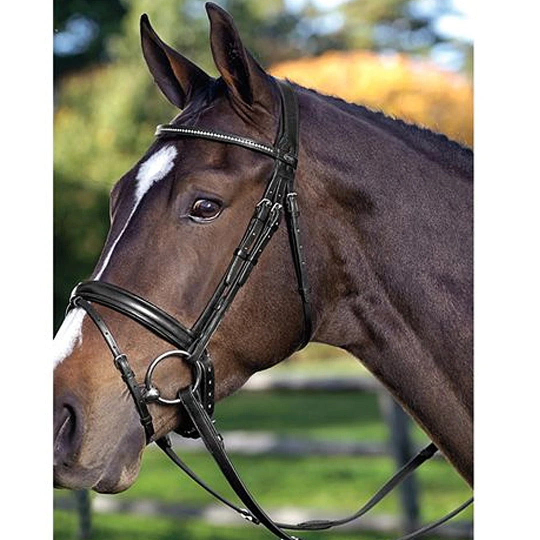 English Bridles Passier Fortuna Snaffle Bridle 3 English Bridles Passier Fortuna Snaffle Bridle