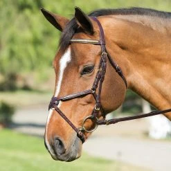 Nunn Finer Padded Figure 8 Noseband With Interchangeable Button Pieces English Bridles