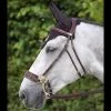 Sagmae Dyon Hackamore Bridle 2 Sagmae Dyon Hackamore Bridle