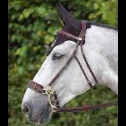 Sagmae Dyon Hackamore Bridle