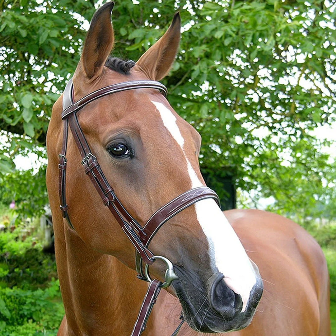 Sagmae Dy'on Fancy Stitch Wide Noseband Bridle English Bridles 4 Sagmae Dy'on Fancy Stitch Wide Noseband Bridle English Bridles