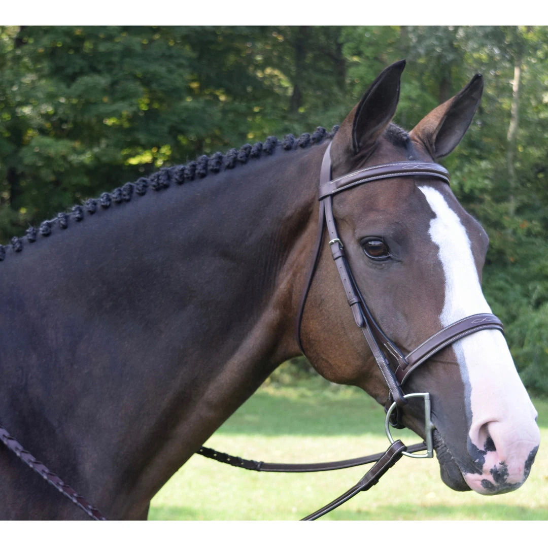 English Bridles Black Oak By KL Select Spruce Hunter Bridle 3 English Bridles Black Oak By KL Select Spruce Hunter Bridle