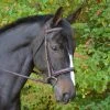 English Bridles Black Oak By KL Select Cyprus Hunter Bridle 1 English Bridles Black Oak By KL Select Cyprus Hunter Bridle